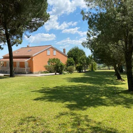 Quinta Do Alto Dos Pinheiros Villa São João da Ribeira Exteriör bild