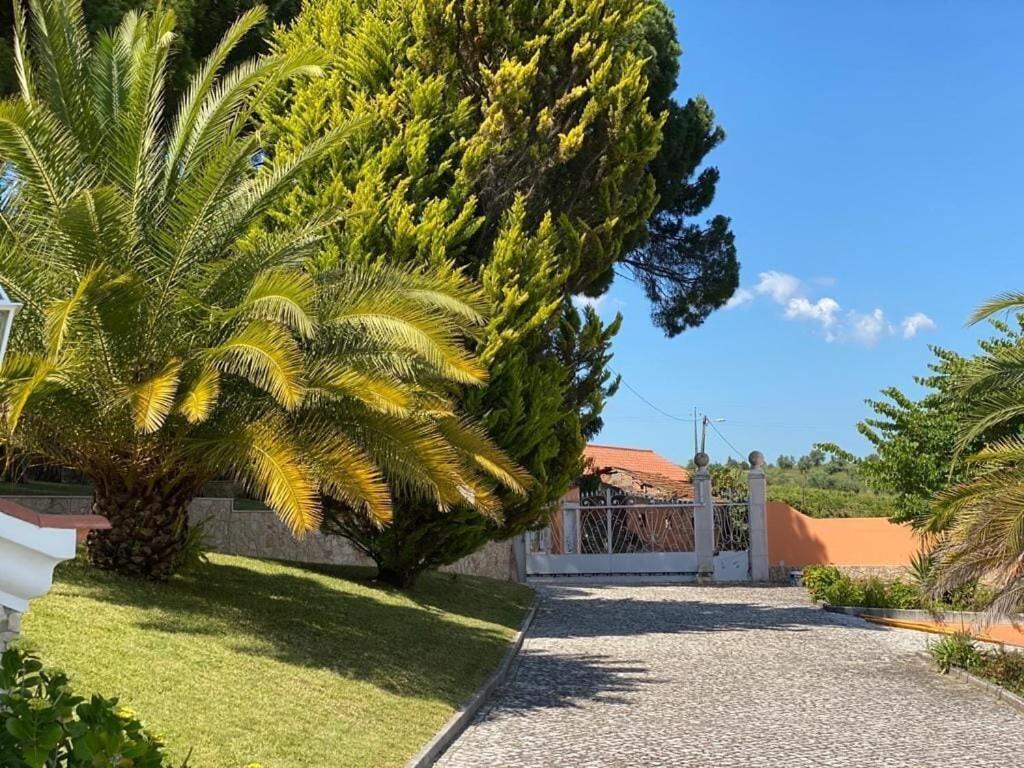 Quinta Do Alto Dos Pinheiros Villa São João da Ribeira Exteriör bild