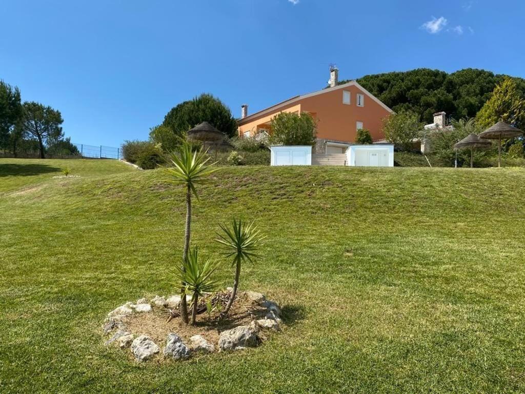 Quinta Do Alto Dos Pinheiros Villa São João da Ribeira Exteriör bild