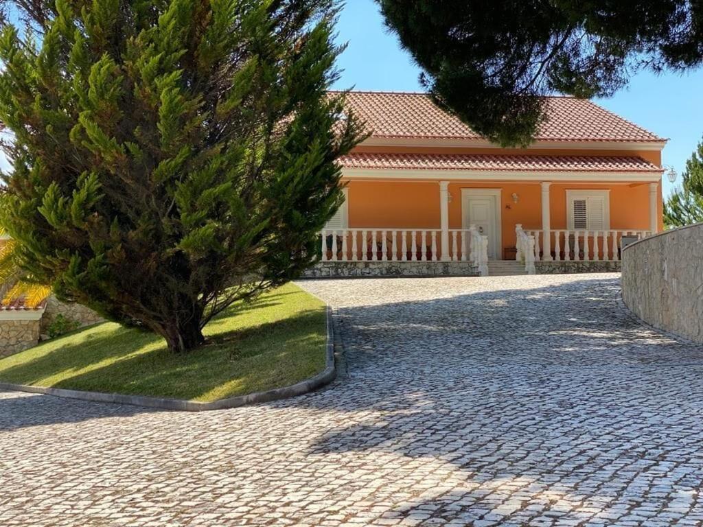 Quinta Do Alto Dos Pinheiros Villa São João da Ribeira Exteriör bild